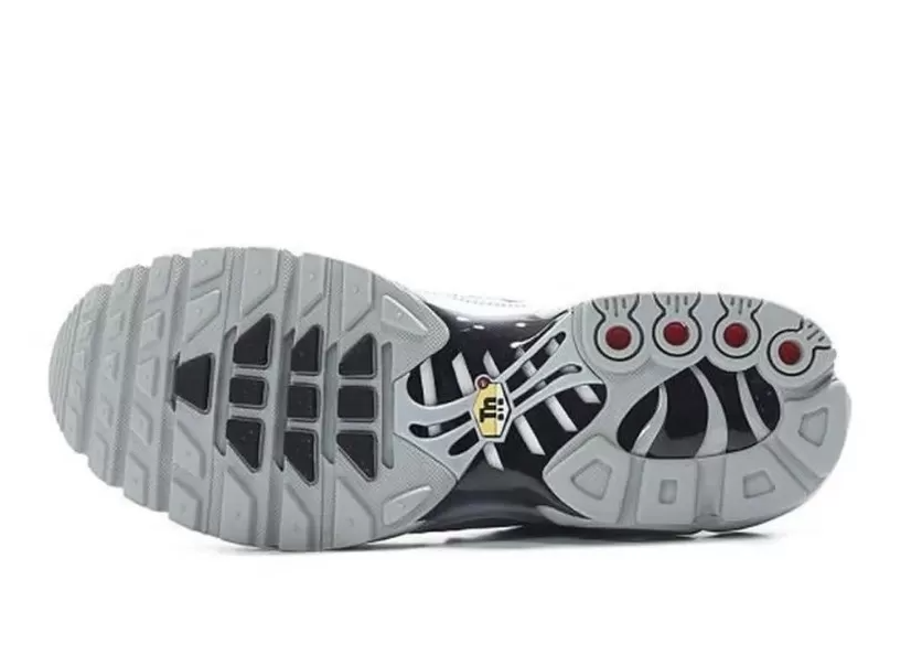 Nike Air Max TN Wolf Grey
