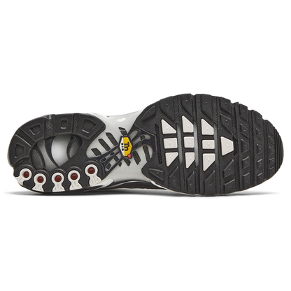 Nike Air Max Plus TN Shattered Ice