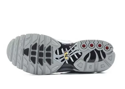 Nike Air Max TN Wolf Grey