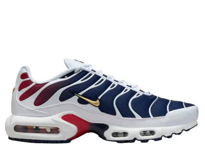 Nike Air Max TN Psg